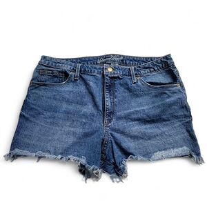 Universal Thread High Waist Denim Cut-Off Shorts